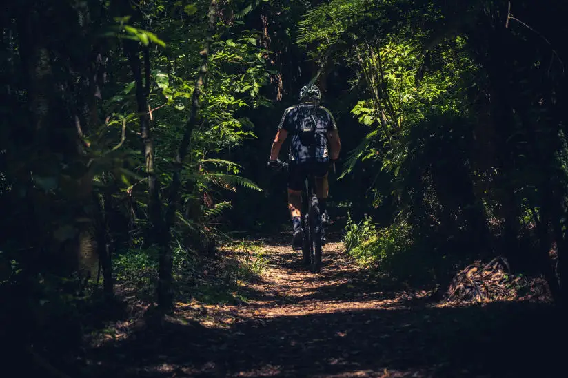 Cyklista na horském kole na lesní cestě